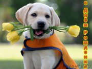 Превью фото № 225303