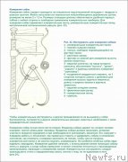 Превью фото № 225319