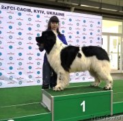 Превью фото № 225326