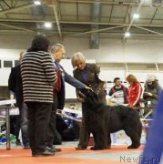 Превью фото № 225337