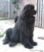 Превью фото № 225339