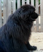 Превью фото № 225341