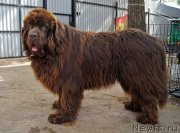 Превью фото № 225403