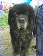 Превью фото № 225421