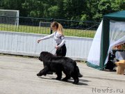 Превью фото № 225427