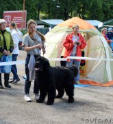 Превью фото № 225430