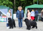 Превью фото № 225431