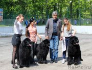 Превью фото № 225432