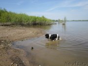 Превью фото № 225443