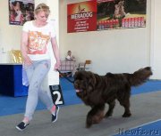 Превью фото № 225449