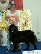 Превью фото № 225450