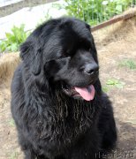 Превью фото № 225459