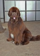 Превью фото № 225470