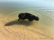 Превью фото № 225472