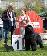 Превью фото № 225482