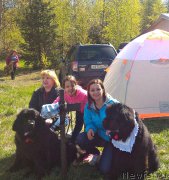 Превью фото № 225489