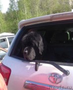 Превью фото № 225490