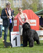 Превью фото № 225492