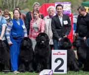 Превью фото № 225502