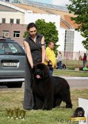 Превью фото № 225532