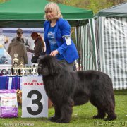 Превью фото № 225545