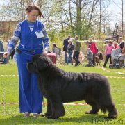 Превью фото № 225551