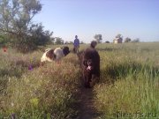 Превью фото № 225593