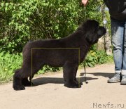 Превью фото № 225610