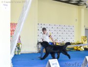 Превью фото № 225672