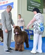 Превью фото № 225679