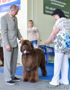 Превью фото № 225680