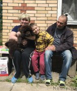 Превью фото № 225686