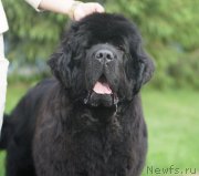 Превью фото № 225690