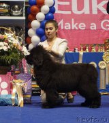 Превью фото № 225692