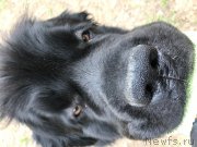 Превью фото № 225701