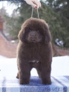 Превью фото № 225766