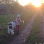 Превью фото № 225810