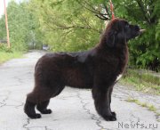 Превью фото № 225812