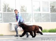 Превью фото № 225817