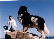 Превью фото № 225821