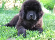 Превью фото № 225828