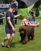 Превью фото № 225832