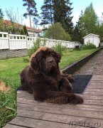 Превью фото № 225836