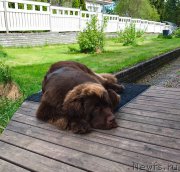 Превью фото № 225837