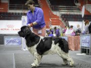 Превью фото № 225895