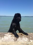 Превью фото № 225940