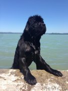 Превью фото № 225941