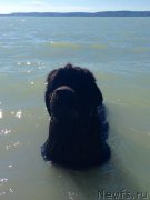 Превью фото № 225942