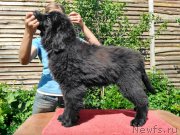 Превью фото № 225972