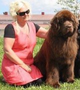 Превью фото № 225996